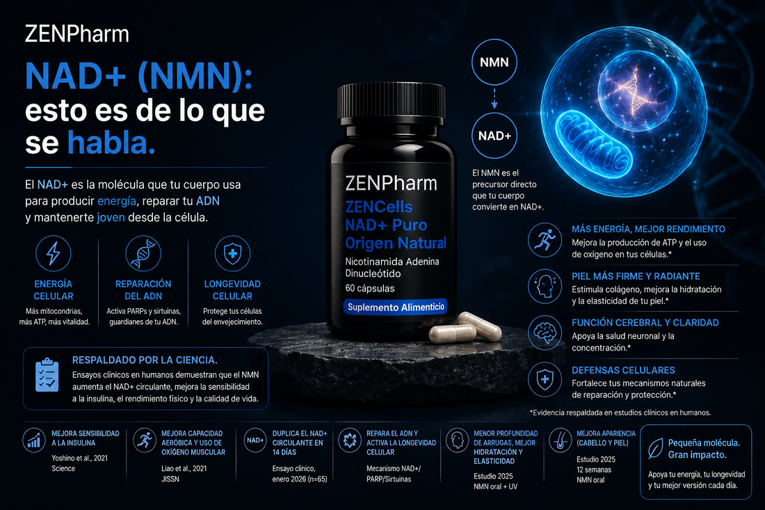 Más energía, piel firme y células que se reparan mejor: así trabaja el NAD+ que tomas cada día