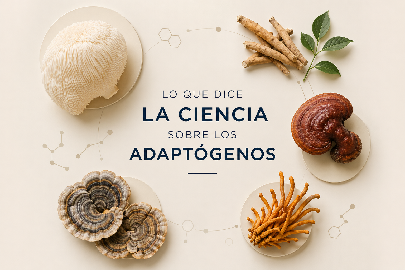 Lo que dice la ciencia sobre los adaptógenos