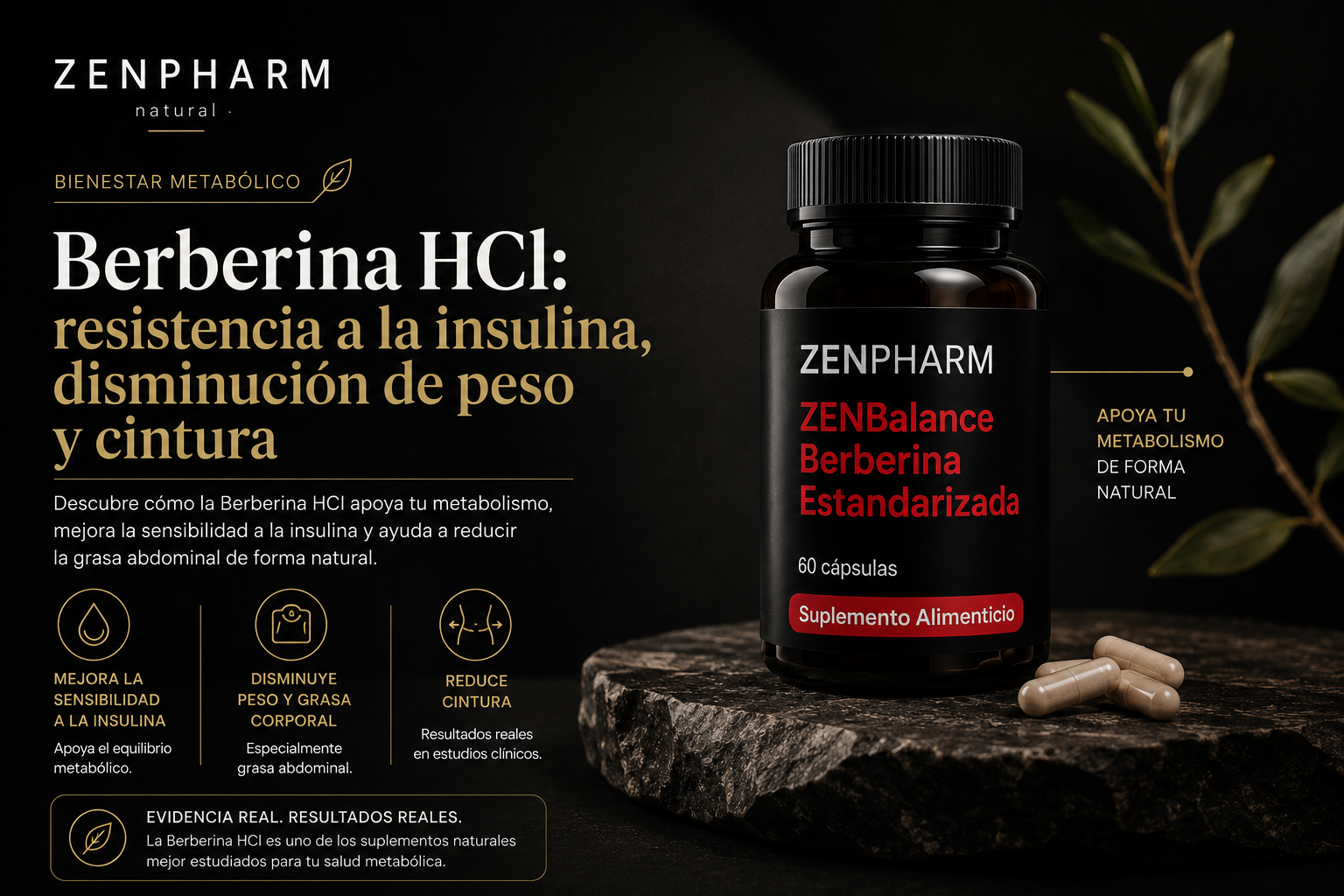 Berberina HCl: resistencia a la insulina, disminución de peso y cintura