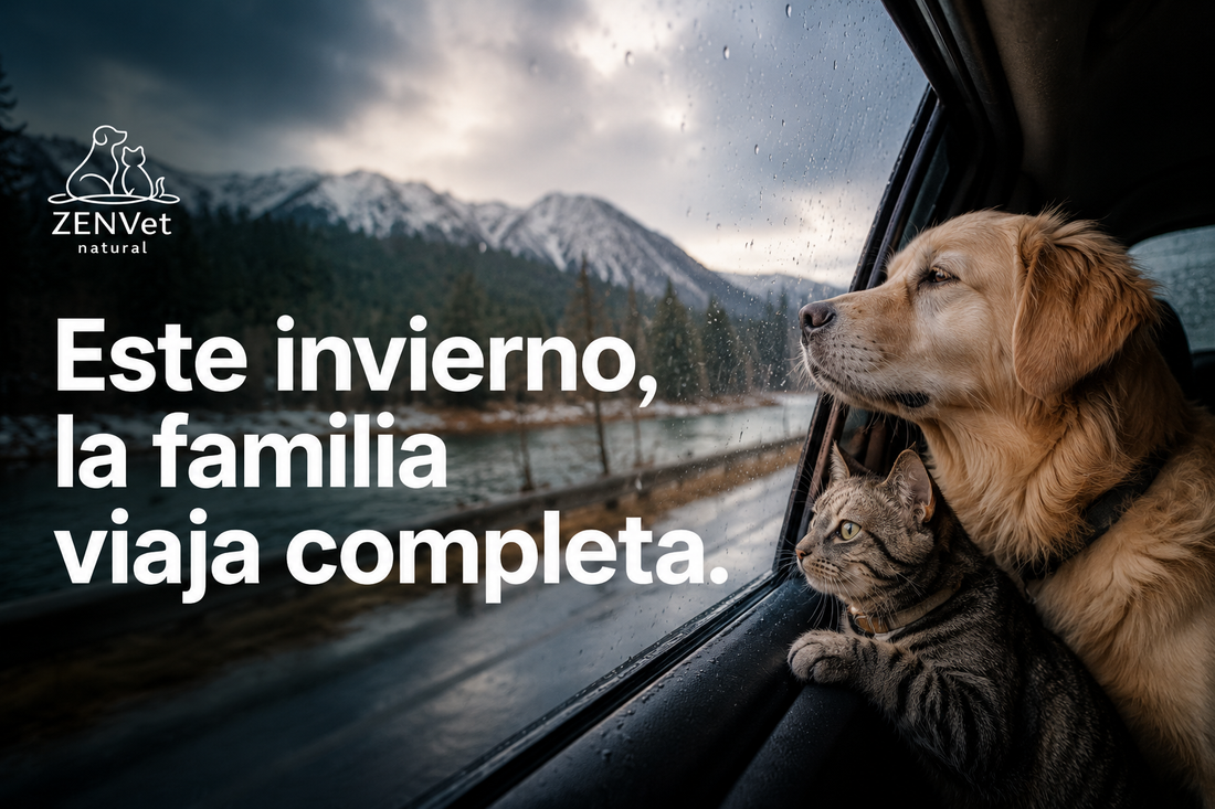 Vacaciones de invierno con tu perro o gato sin estrés