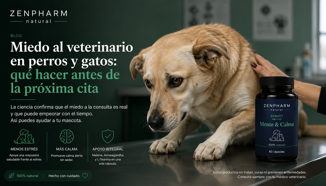 Miedo al veterinario en perros y gatos: qué hacer antes