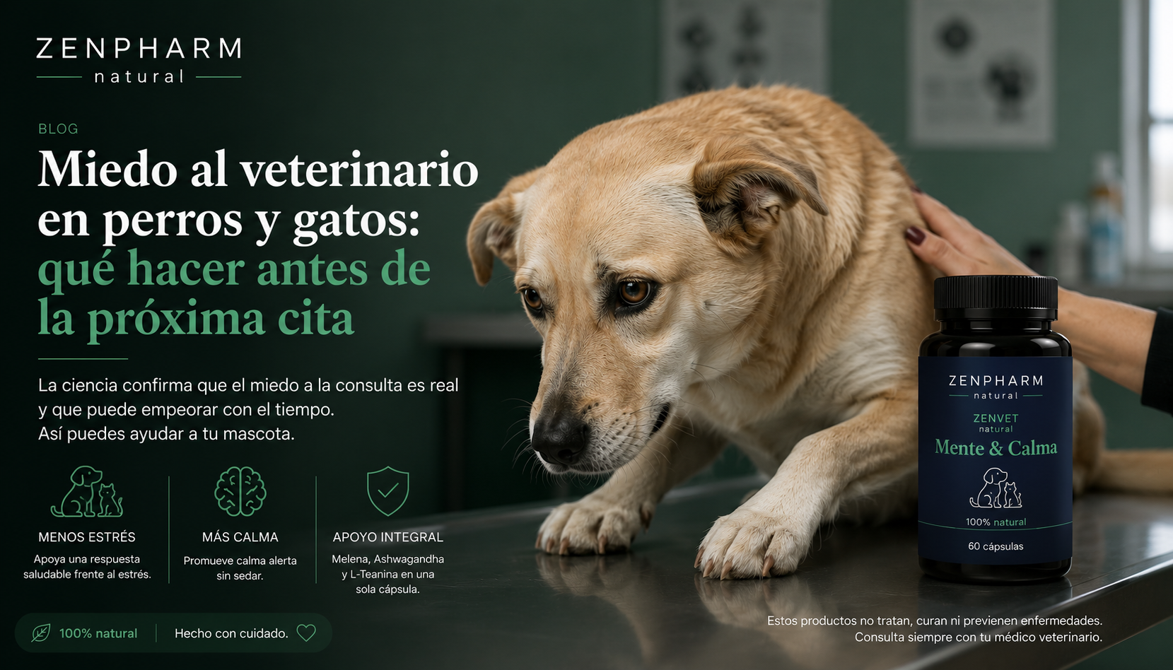 Miedo al veterinario en perros y gatos: qué hacer antes