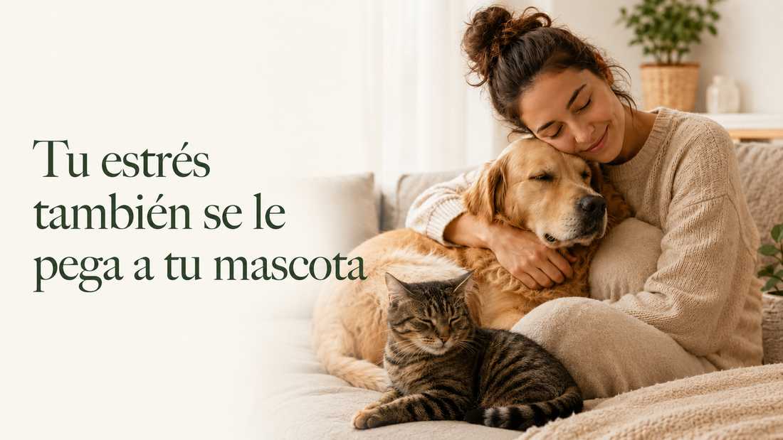 Cortisol compartido entre tutor y mascota